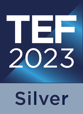Tef 2023 Silver Logo (1)